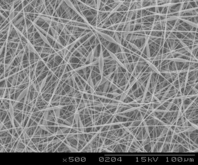 抗菌纖維是什么面料